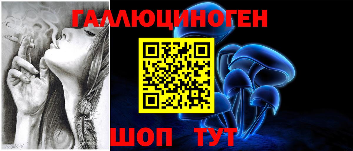 Галлюциногенные грибы Cubensis Калининград